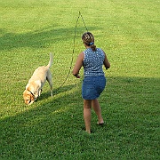 Picture 016